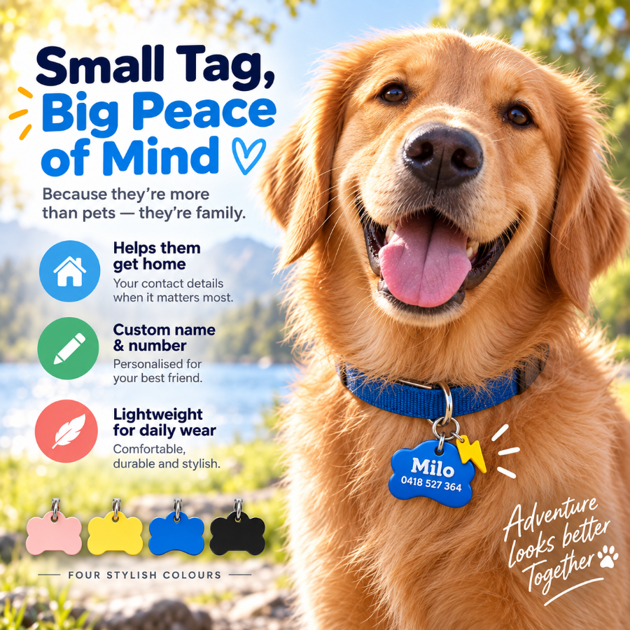Dog wearing a personalised blue pet ID tag