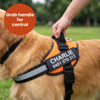 Crumpaw Personalised Dog Harness