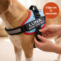 Crumpaw Personalised Dog Harness