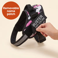 Crumpaw Personalised Dog Harness