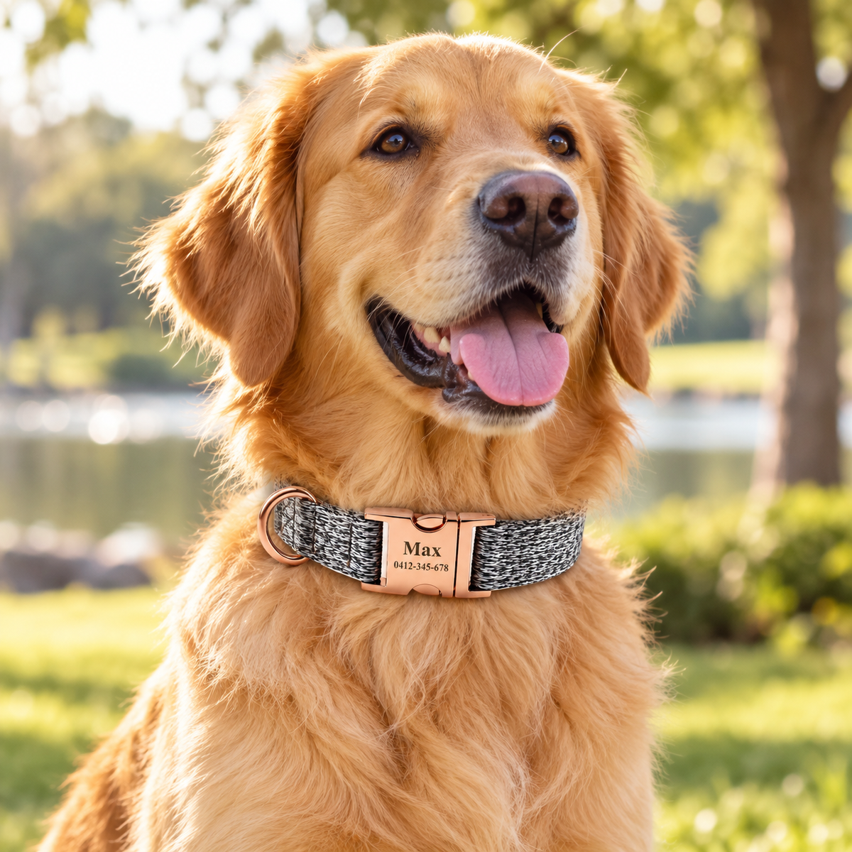 Crumpaw TrailWeave Engraved Collar