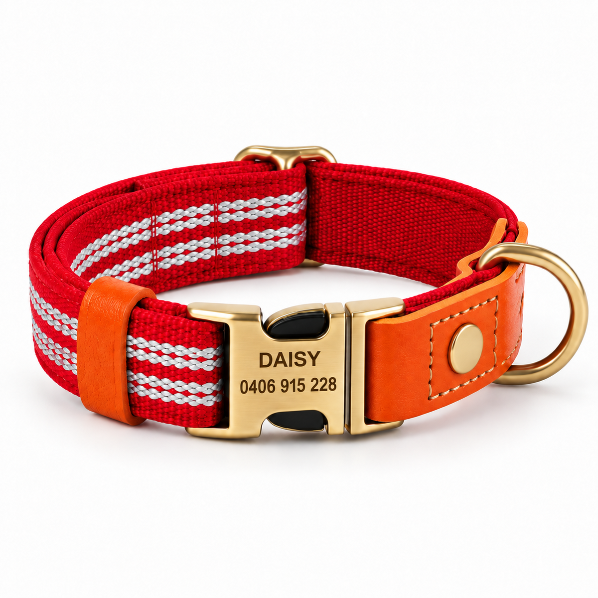 Personalisiertes reflektierendes Hundehalsband