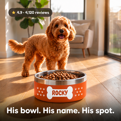 Crumpaw Pattern Dog Bowl