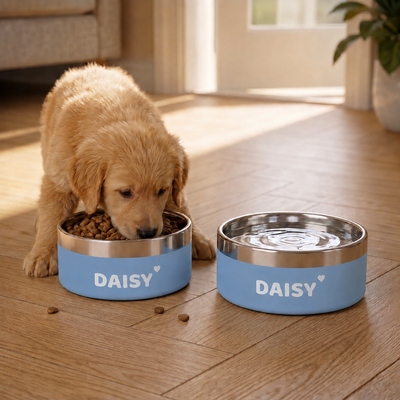 Crumpaw Nameplate Dog Bowl