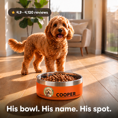 Crumpaw Photo Dog Bowl