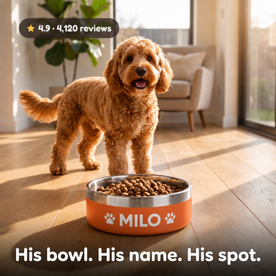Crumpaw Signature Dog Bowl
