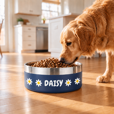 Crumpaw Pattern Dog Bowl