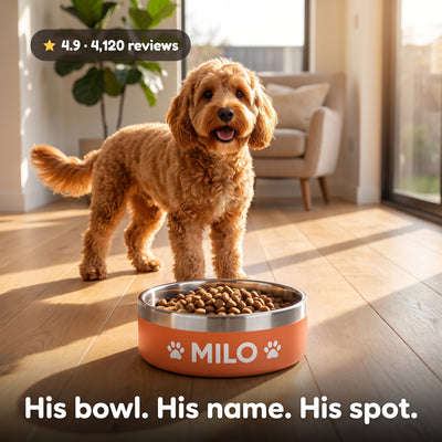 Crumpaw Signature Dog Bowl