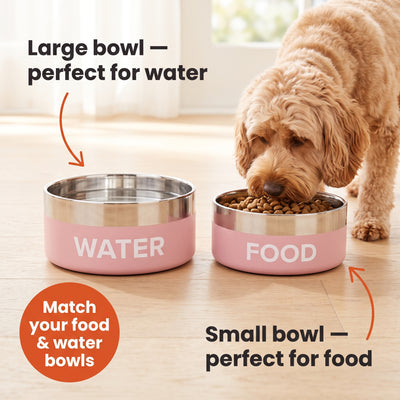 Crumpaw Nameplate Dog Bowl