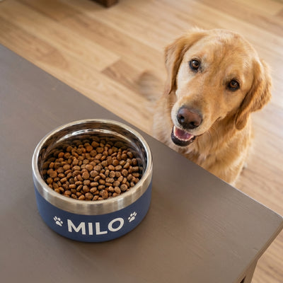 Crumpaw Signature Dog Bowl