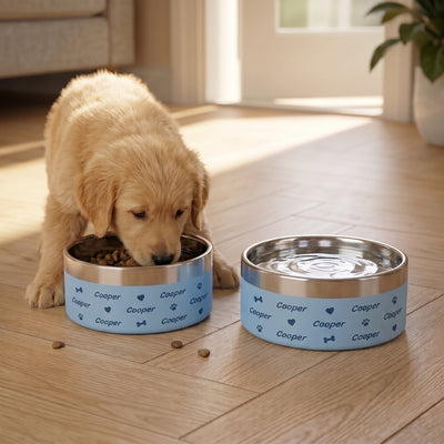 Crumpaw Wraparound Dog Bowl