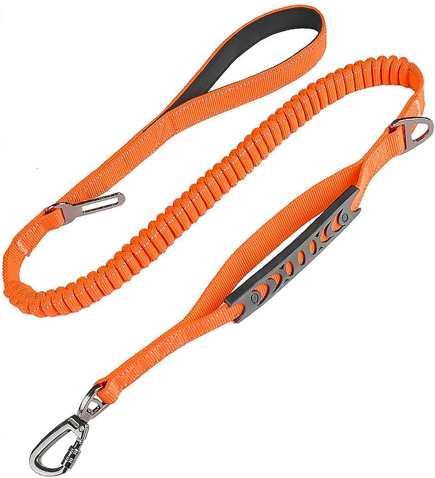 An orange bungee dog lead with a padded handle, a short traffic handle, a swivel carabiner and a car seatbelt clip.
