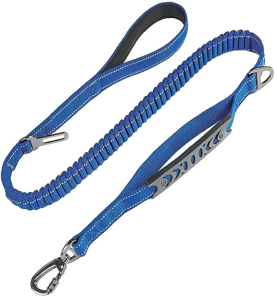 A blue bungee dog lead with a padded handle, a short traffic handle, a swivel carabiner and a car seatbelt clip.