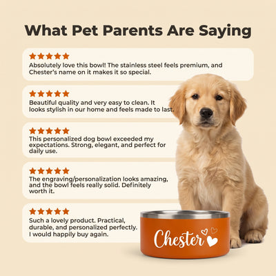 Crumpaw Signature Dog Bowl
