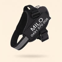 Crumpaw Personalised Dog Harness