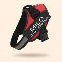 Crumpaw Personalised Dog Harness
