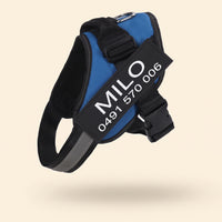Crumpaw Personalised Dog Harness