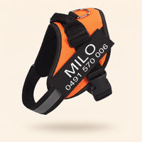 Crumpaw Personalised Dog Harness