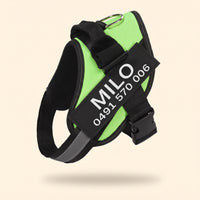 Crumpaw Personalised Dog Harness