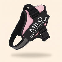 Crumpaw Personalised Dog Harness