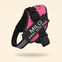 Crumpaw Personalised Dog Harness