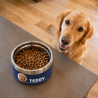 Golden retriever waiting beside a navy Personalised Photo Dog Bowl on a table, his own photo printed next to the name TEDDY