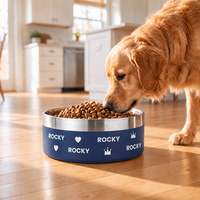 Golden retriever eating from a navy Personalised Wraparound Dog Bowl in a sunlit kitchen, the name ROCKY repeating right around the bowl with hearts and crowns between