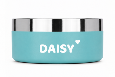 Studio shot of a teal Personalised Nameplate Dog Bowl on white, the name DAISY printed across the front with a small heart beside it