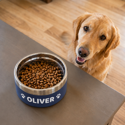 Golden retriever waiting beside a navy Personalised Nameplate Dog Bowl on a table, the name OLIVER printed between two paw prints