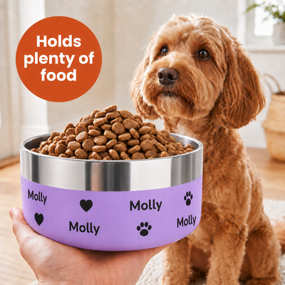 Hand holding a lilac Personalised Wraparound Dog Bowl heaped with kibble, the name Molly repeating around the bowl, cockapoo sitting alongside