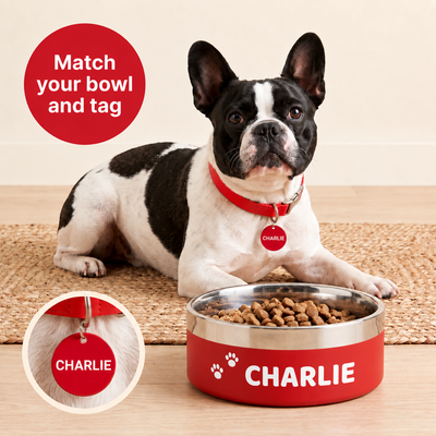 French bulldog lying beside a signal red Personalised Nameplate Dog Bowl, wearing a matching red collar tag reading CHARLIE