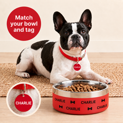 French bulldog lying beside a signal red Personalised Wraparound Dog Bowl, the name CHARLIE repeating around the bowl with bones between, plus a matching collar tag