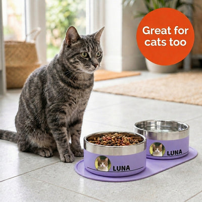Tabby cat sitting beside a pair of lilac Personalised Photo Dog Bowls on a feeding mat, both printed with her photo and the name LUNA