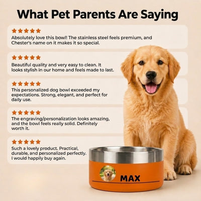 Golden retriever sitting beside a sunset orange Personalised Photo Dog Bowl, shown with five-star customer reviews