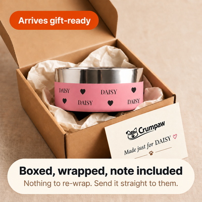 Blush pink Personalised Wraparound Dog Bowl packed in a Crumpaw gift box with tissue paper and a printed card, the name DAISY repeating around the bowl