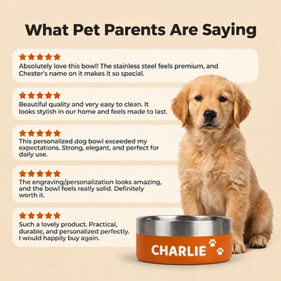 Golden retriever puppy sitting beside a sunset orange Personalised Nameplate Dog Bowl, shown with five-star customer reviews