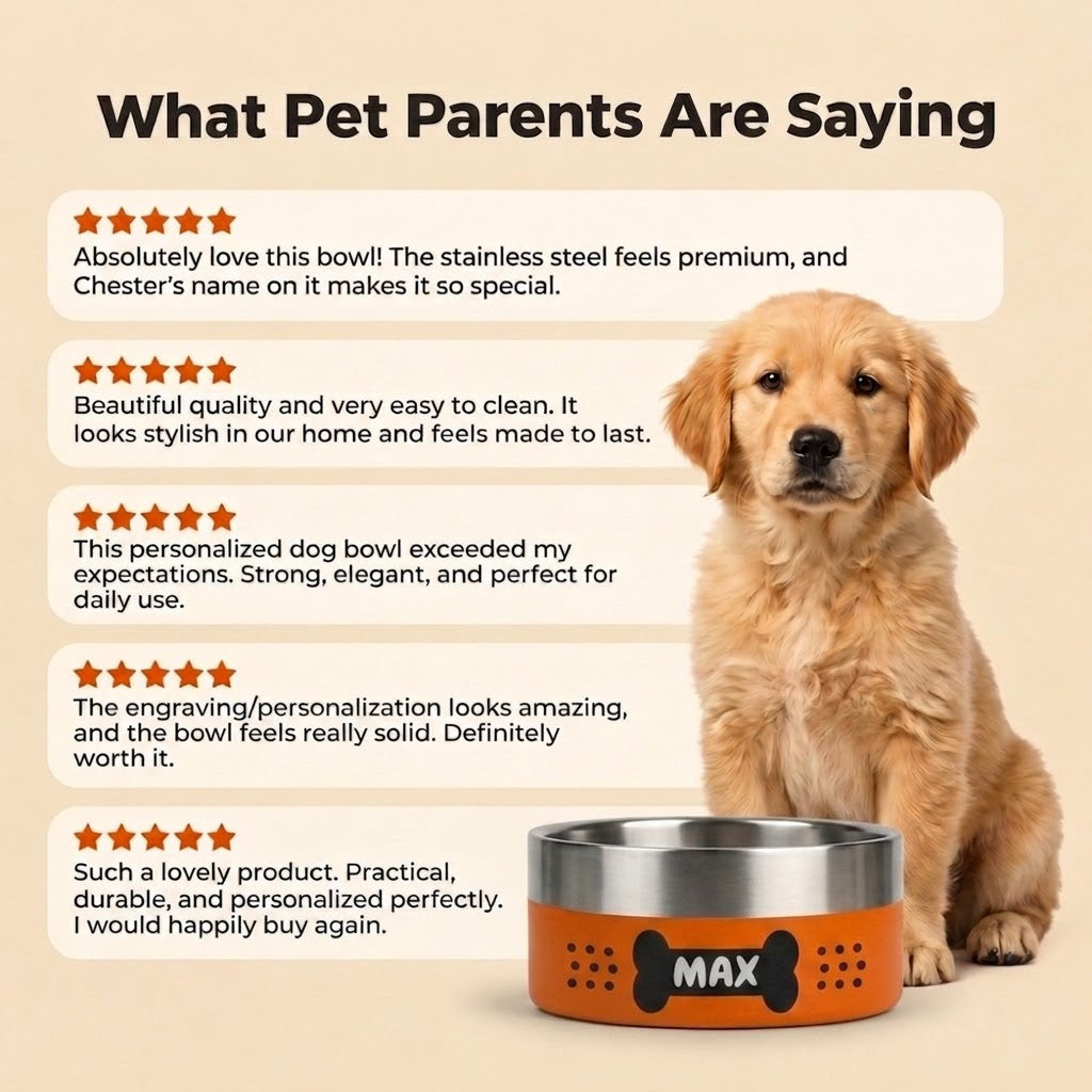 Golden retriever puppy sitting beside a sunset orange Personalised Pattern Dog Bowl, shown with five-star customer reviews