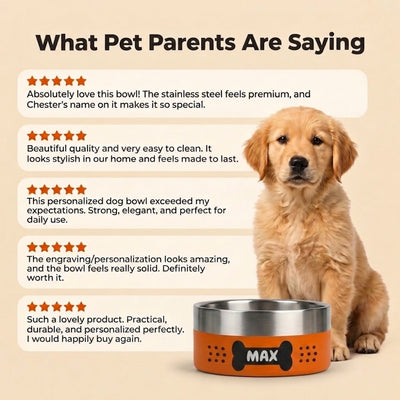 Golden retriever puppy sitting beside a sunset orange Personalised Pattern Dog Bowl, shown with five-star customer reviews