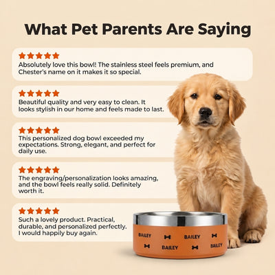 Golden retriever puppy sitting beside a sunset orange Personalised Wraparound Dog Bowl, shown with five-star customer reviews