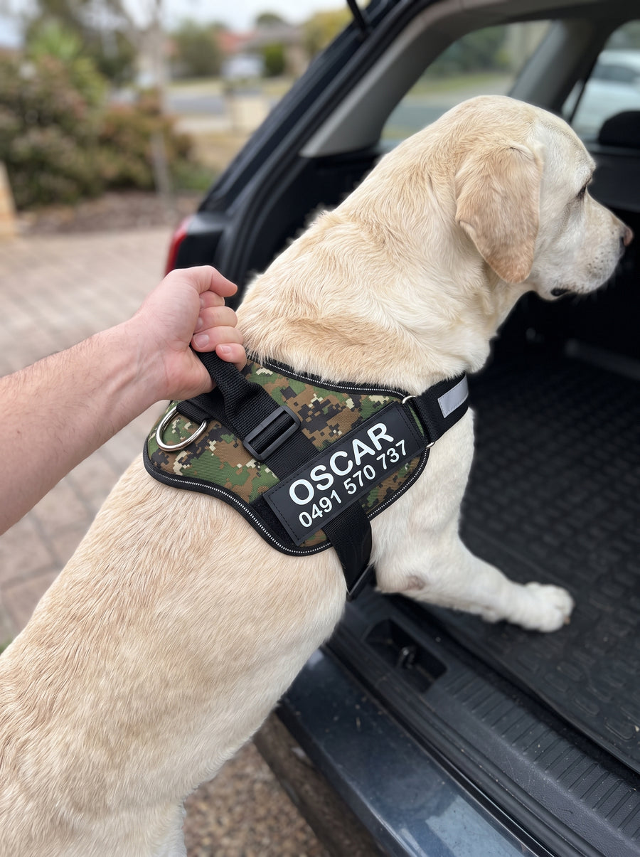 A hand gripping the spine handle of a camouflage personalised dog harness to steady a yellow Labrador climbing into the boot of a car.