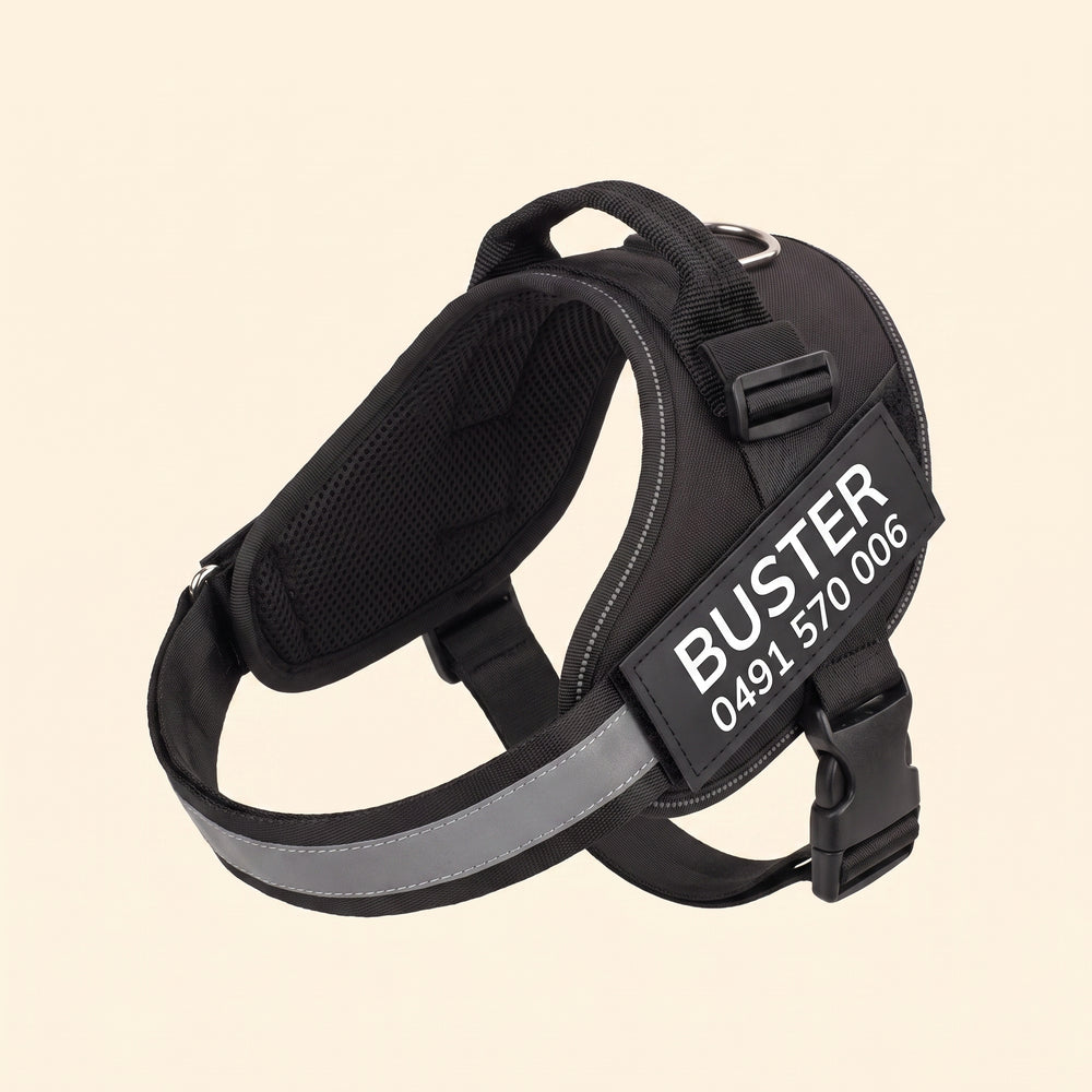 Studio photograph of a black personalised dog harness at three-quarter angle, showing the spine handle, steel D-ring, adjustable slider, reflective chest band, side-release buckle and the name patch.