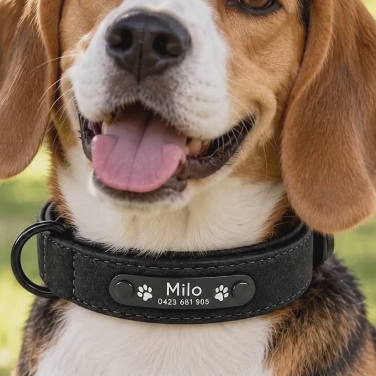 Graviertes Crumpaw SnugPup-Halsband