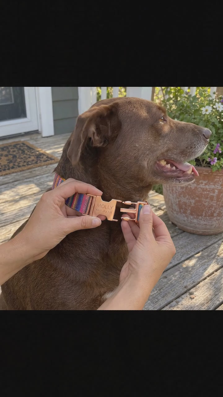 Graviertes Crumpaw WanderPup-Halsband