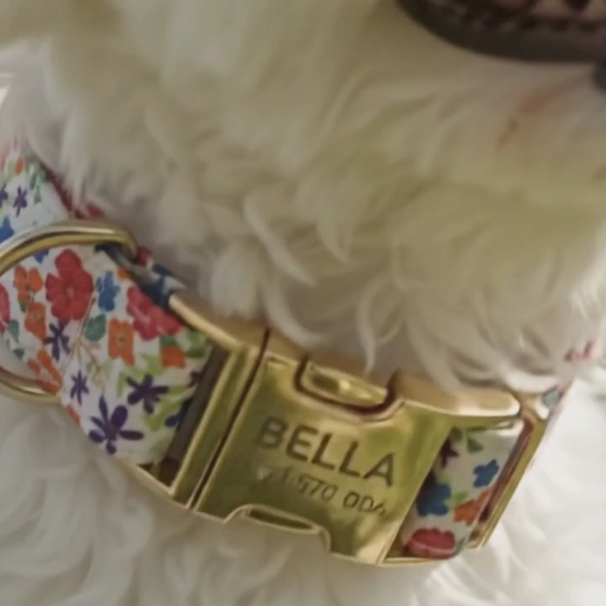 Graviertes Crumpaw BlossomPup-Halsband
