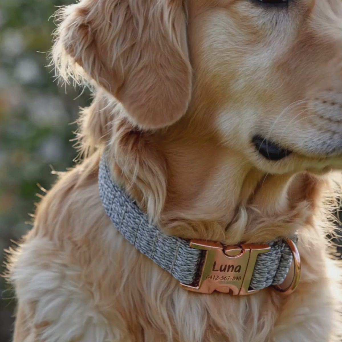 Graviertes Crumpaw TrailWeave-Halsband