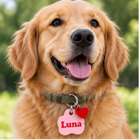 Golden retriever wearing a pink Luna tag
