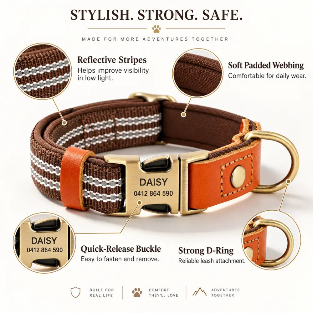 Collar features: reflective stripes, padded webbing, metal buckle and D-ring