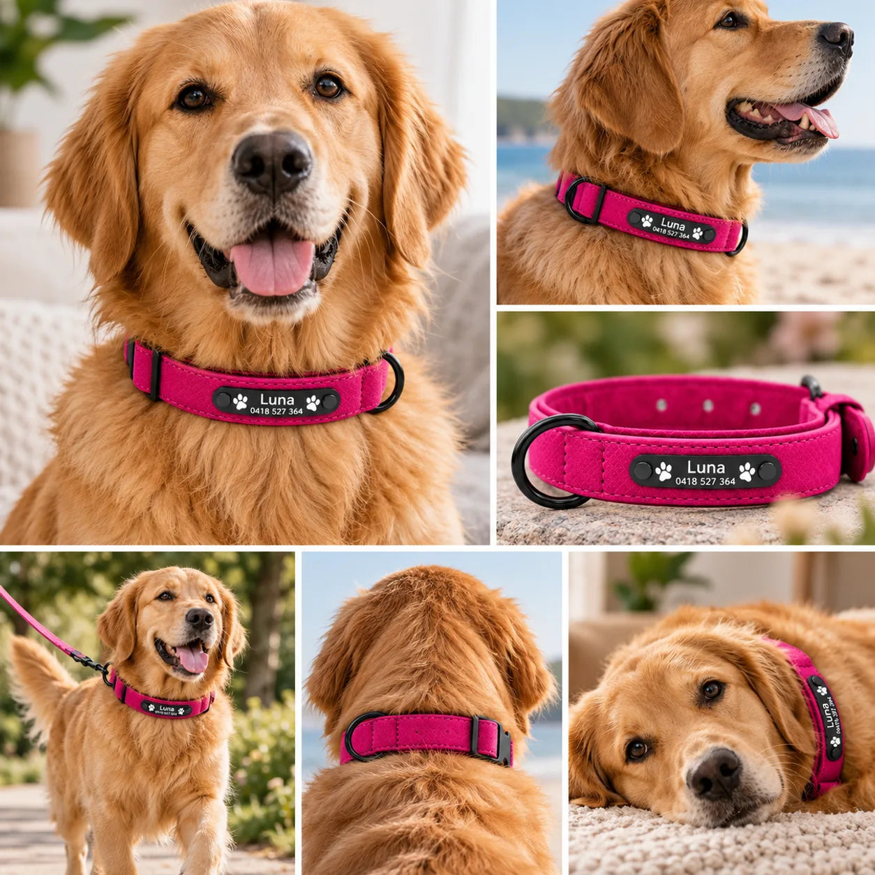 Golden retriever wearing a hot pink personalised collar engraved Luna